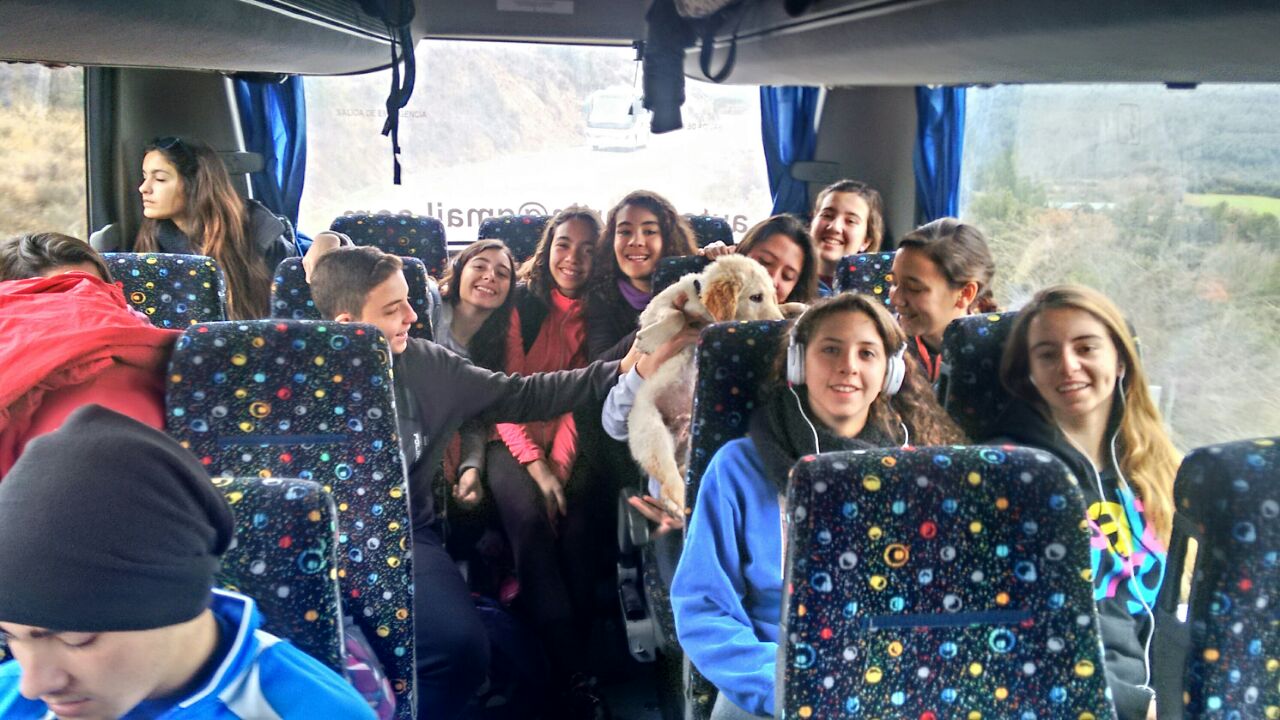 grupo de escolares viajando a las actividades