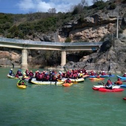 Remumen del día de la marmota 2015. Muchos participantes y muy buen ambiente. 