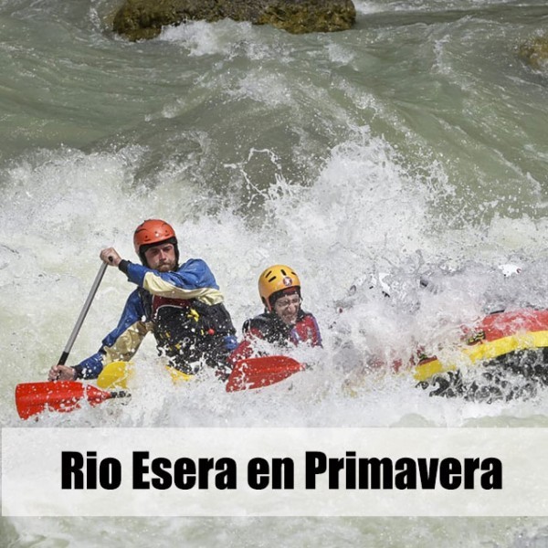 Array
(
    [id] => 2486
    [id_producto] => 337
    [imagen] => 337-2486-compraractividadesactividadesraftingrafting-huesca.jpg
    [orden] => 9
)
