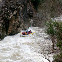 Array
(
    [id] => 978
    [id_producto] => 8
    [imagen] => 978_rafting-valle-de-roncal.jpg
    [orden] => 7
)
