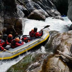 Array
(
    [id] => 797
    [id_producto] => 136
    [imagen] => pro_rafting-el-el-rio-guil-rafting-y-kayak-en-los-alpes.jpg
    [orden] => 7
)
